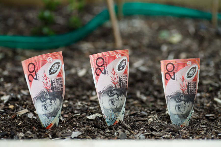 Three Australian $20 dollars planted in garden bed